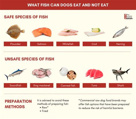 do dogs eat fish